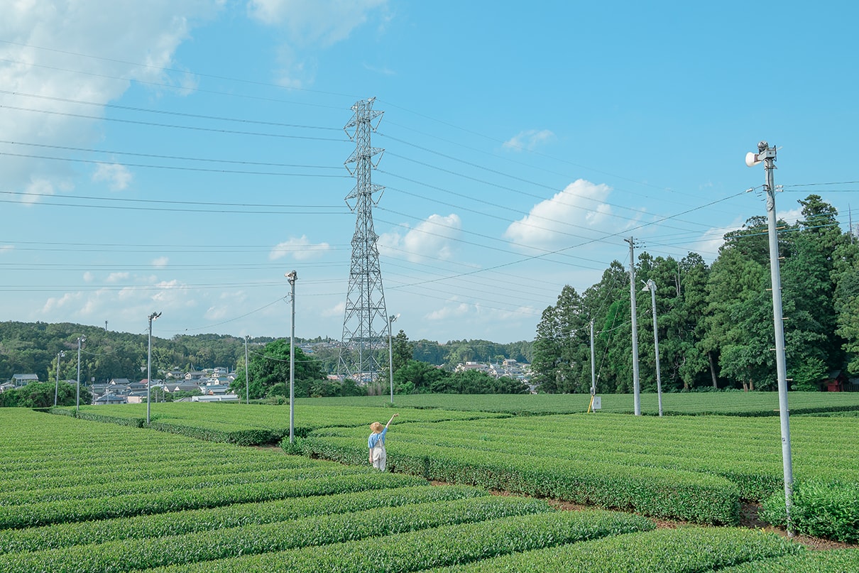 櫻子×NIKKOR Z 35mm f/1.4作品