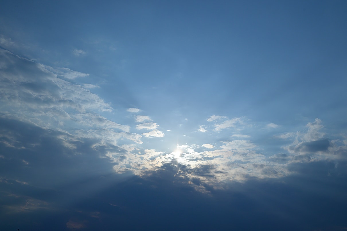 櫻子×NIKKOR Z 35mm f/1.4作品