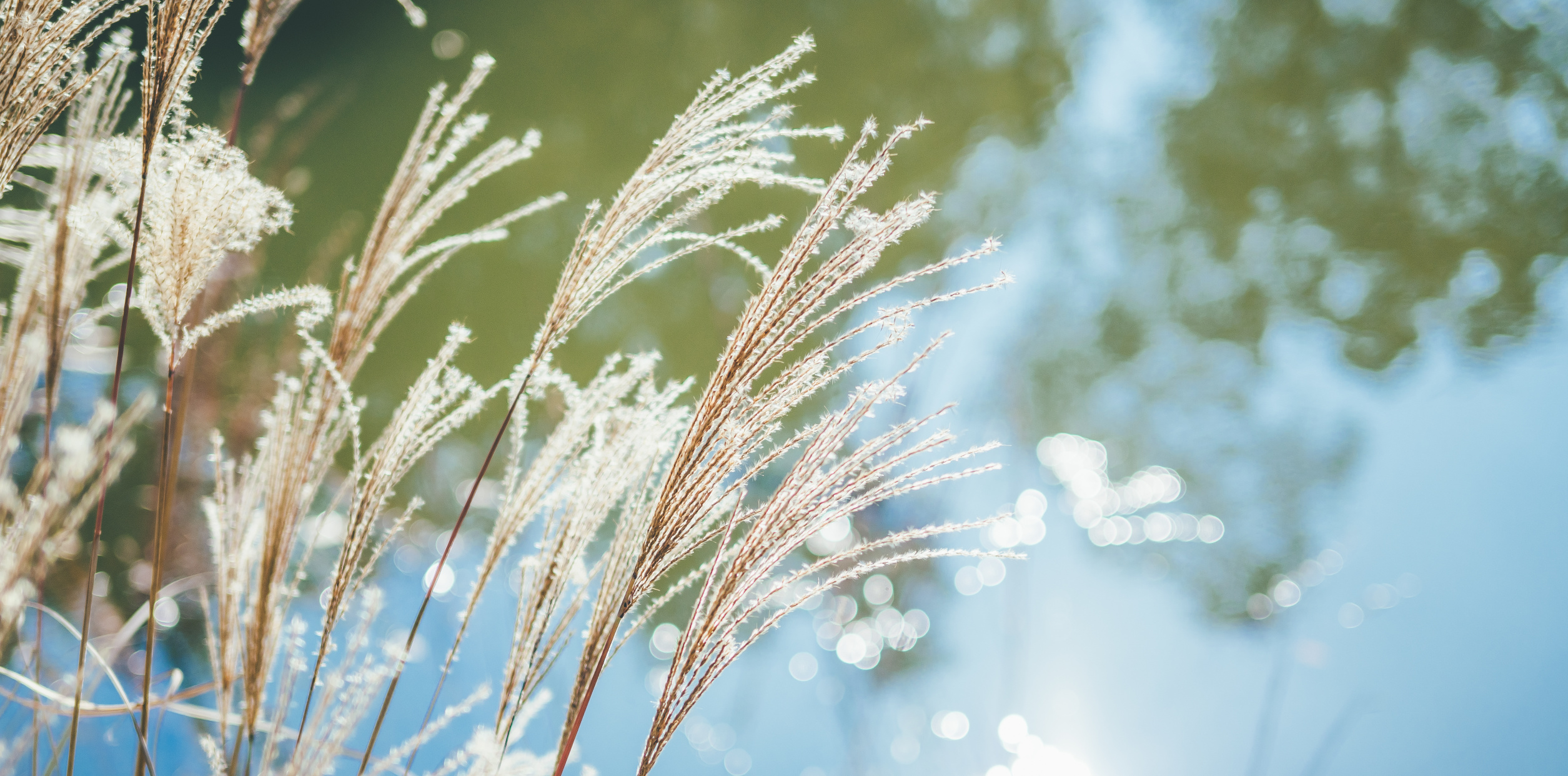 jyota tomonori×NIKKOR Z 40mm f/2（SE）作品