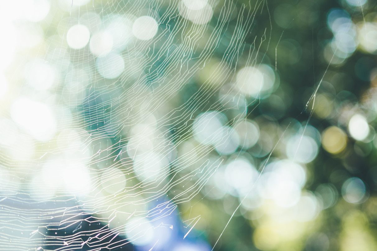 jyota tomonori×NIKKOR Z 40mm f/2（SE）作品