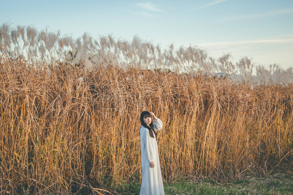 jyota tomonori×NIKKOR Z 40mm f/2（SE）作品