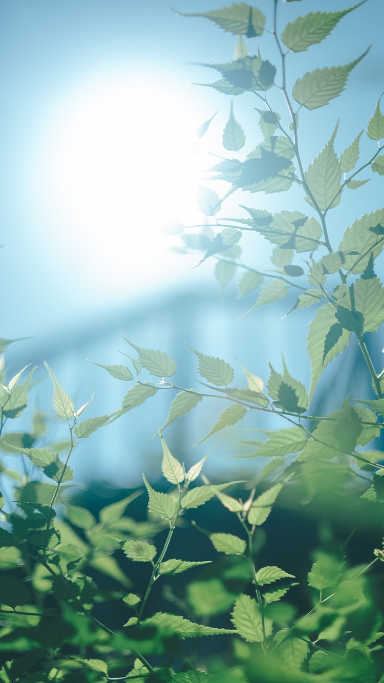 軍司 拓実×NIKKOR Z 50mm f/1.4作品