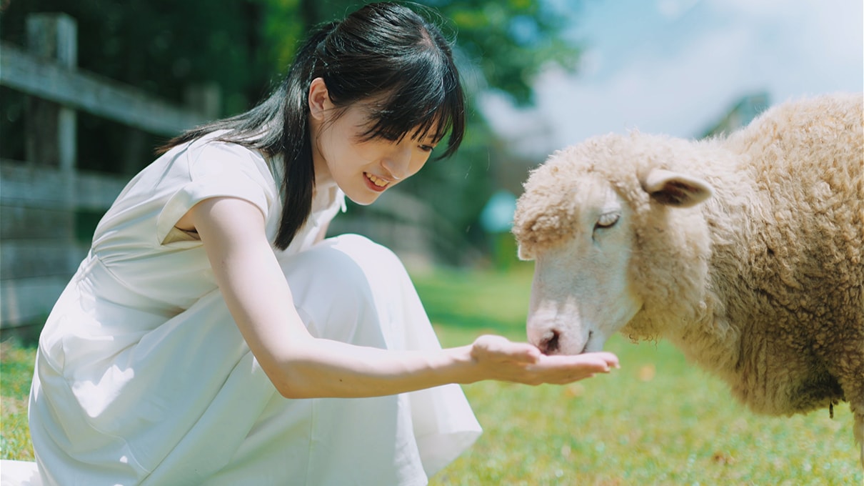 軍司 拓実×NIKKOR Z 50mm f/1.4 動画表現作品