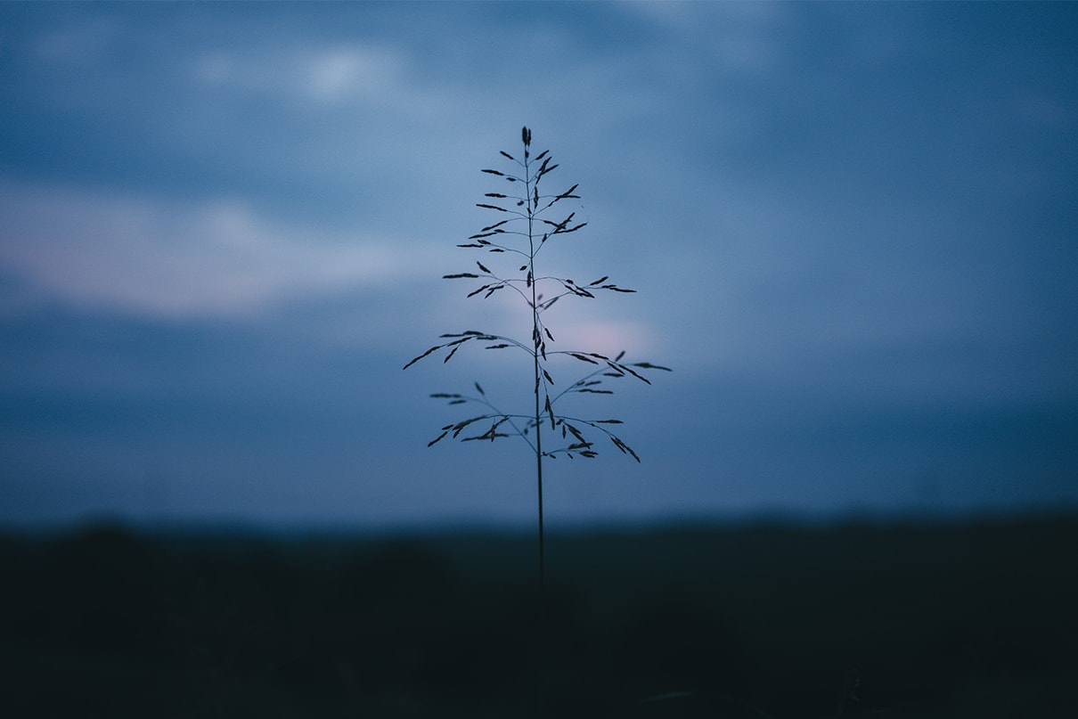 軍司 拓実×NIKKOR Z 50mm f/1.4作品