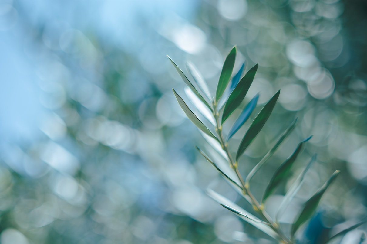 軍司 拓実×NIKKOR Z 50mm f/1.4作品