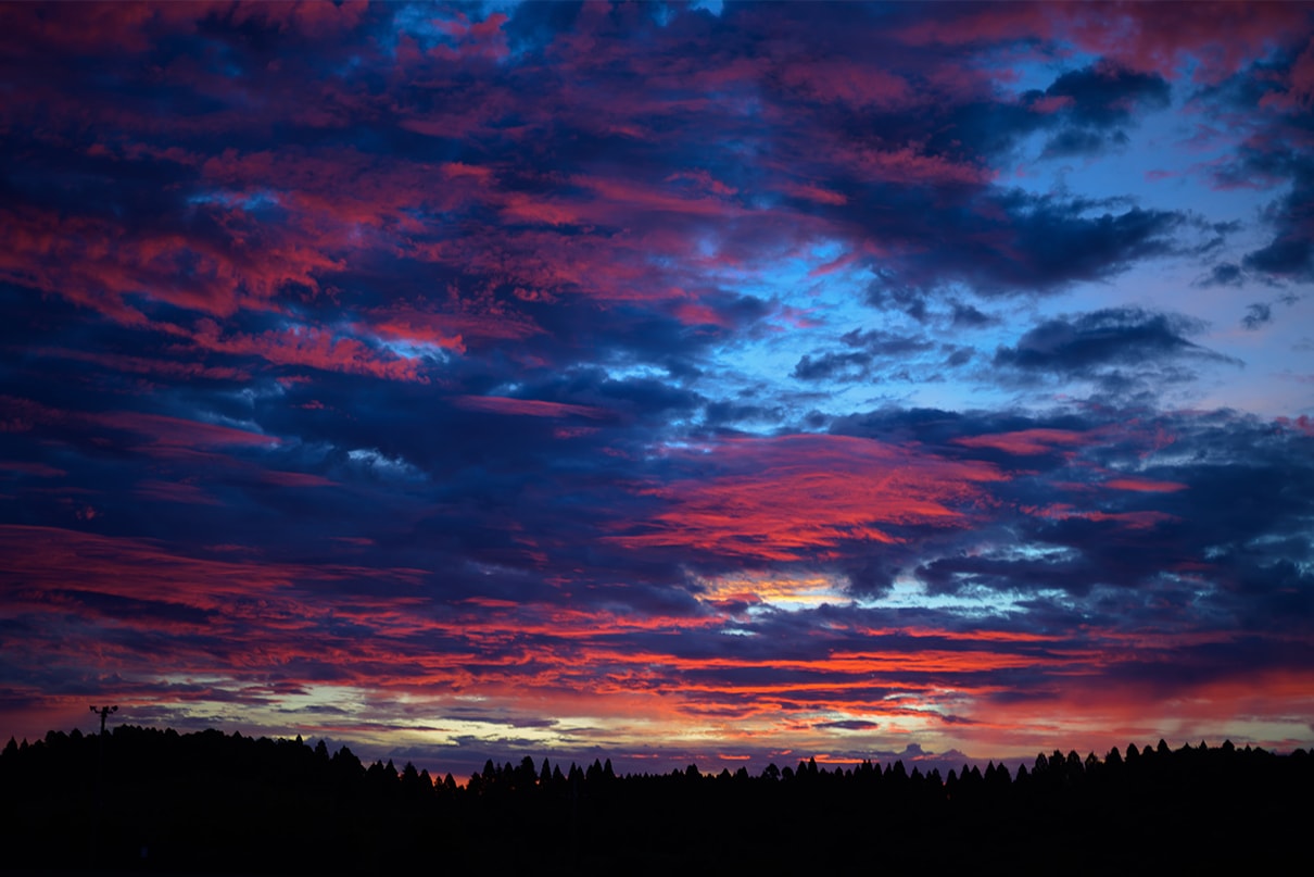 軍司 拓実×NIKKOR Z 50mm f/1.4作品