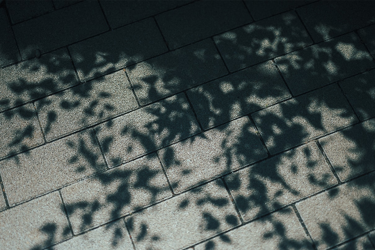 軍司 拓実×NIKKOR Z 50mm f/1.4作品