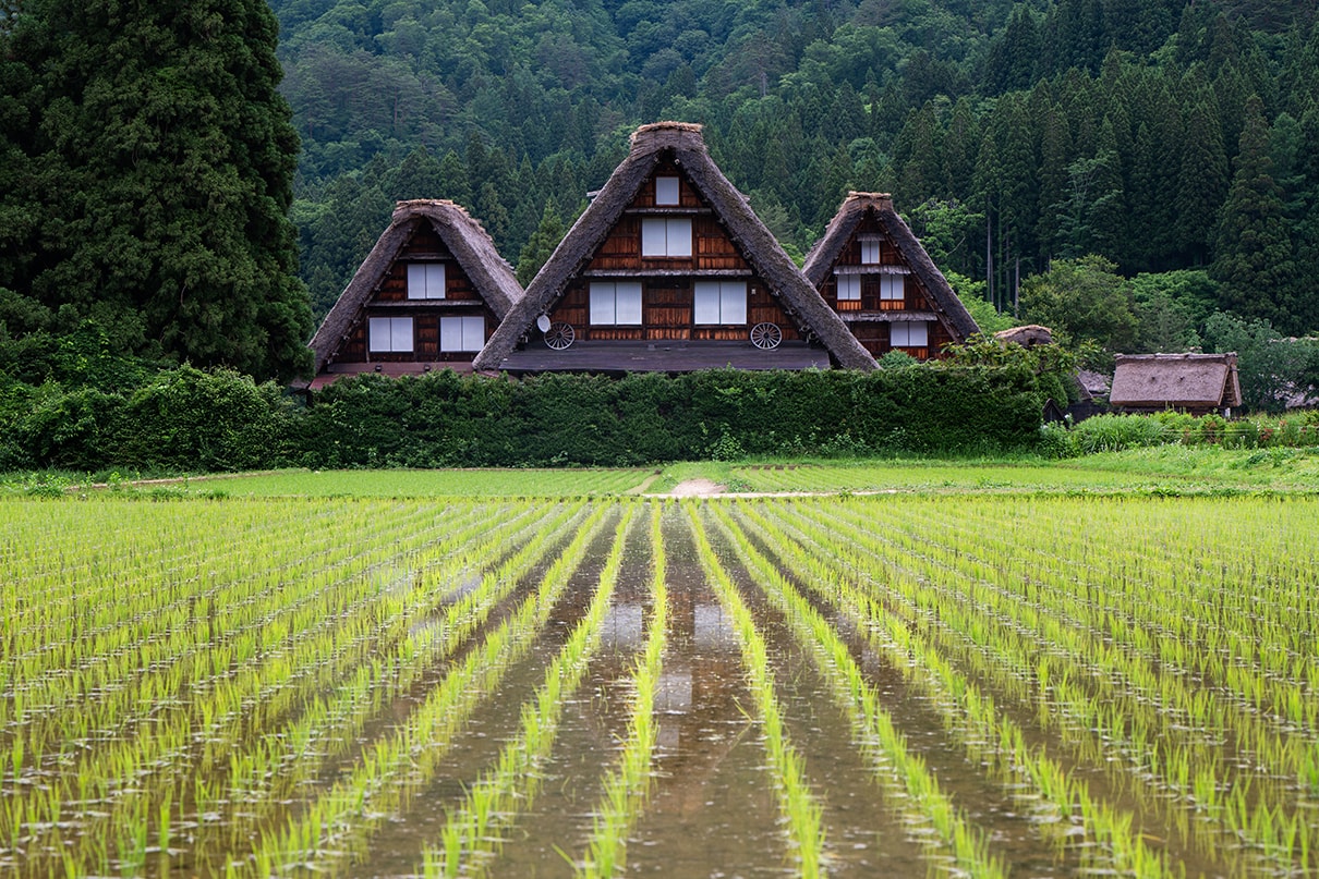 Atsushi Kobayashi×NIKKOR Z 70-180mm f/2.8作品