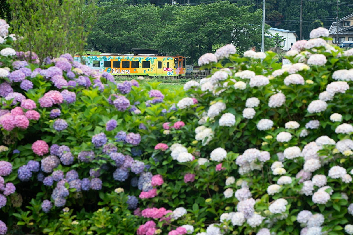 Atsushi Kobayashi×NIKKOR Z 70-180mm f/2.8作品