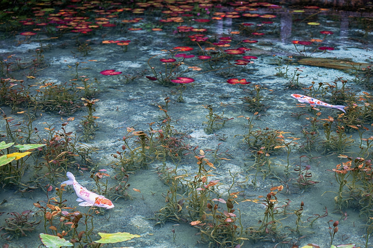 Atsushi Kobayashi×NIKKOR Z 70-180mm f/2.8作品