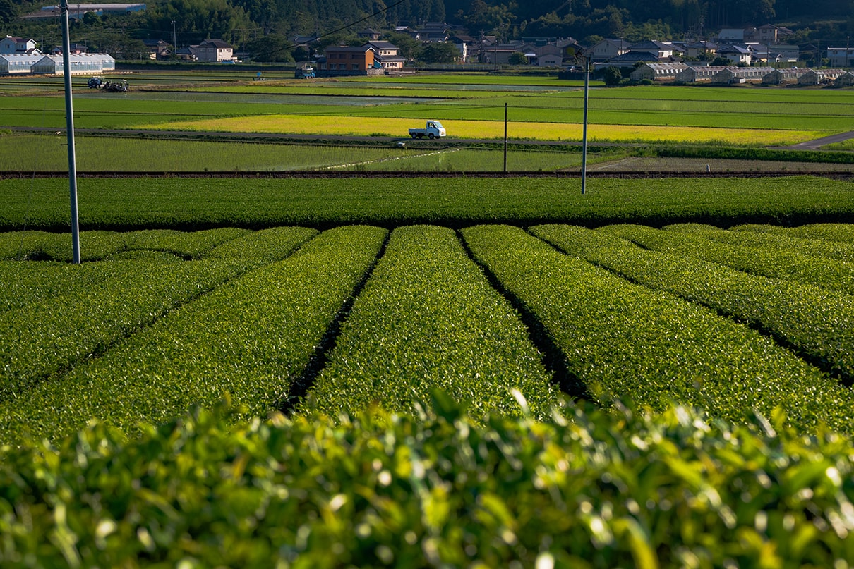 NAMIKO×NIKKOR Z 70-180mm f/2.8作品