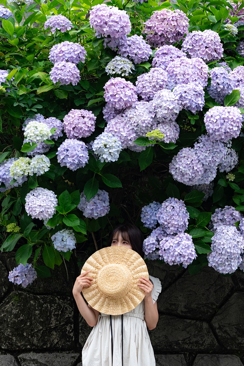 NAMIKO×NIKKOR Z 70-180mm f/2.8作品