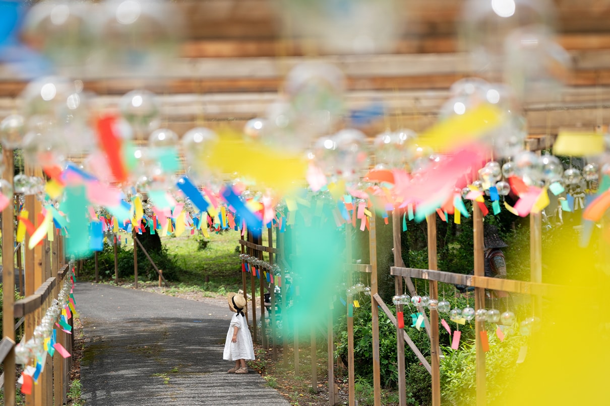 NAMIKO×NIKKOR Z 70-180mm f/2.8作品