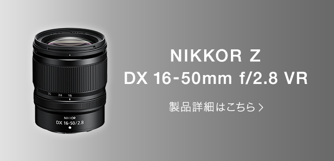 NIKKOR Z DX 16-50mm f/2.8 VR 製品詳細はこちら