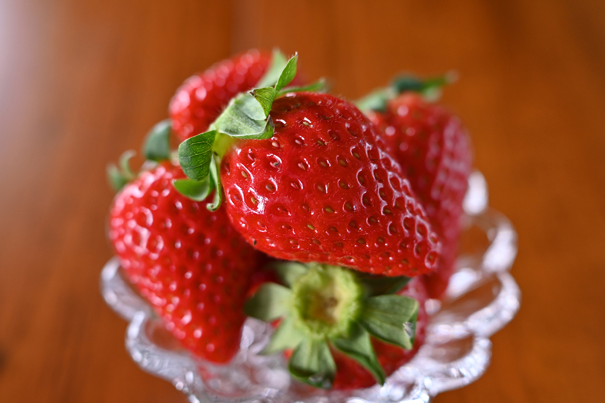 鎌田 風花×NIKKOR Z DX 24mm f/1.7作品