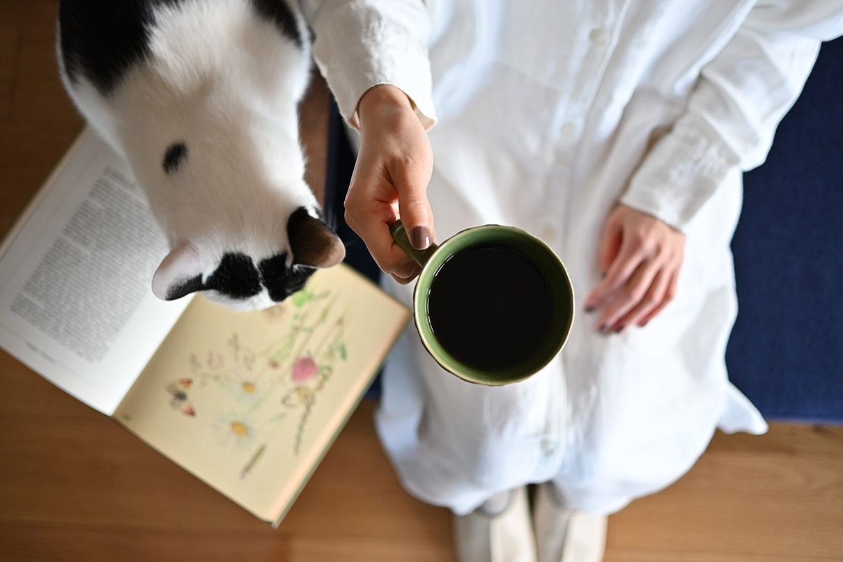 鎌田 風花×NIKKOR Z DX 24mm f/1.7作品