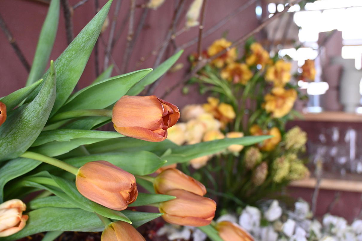 テクニック f4作品