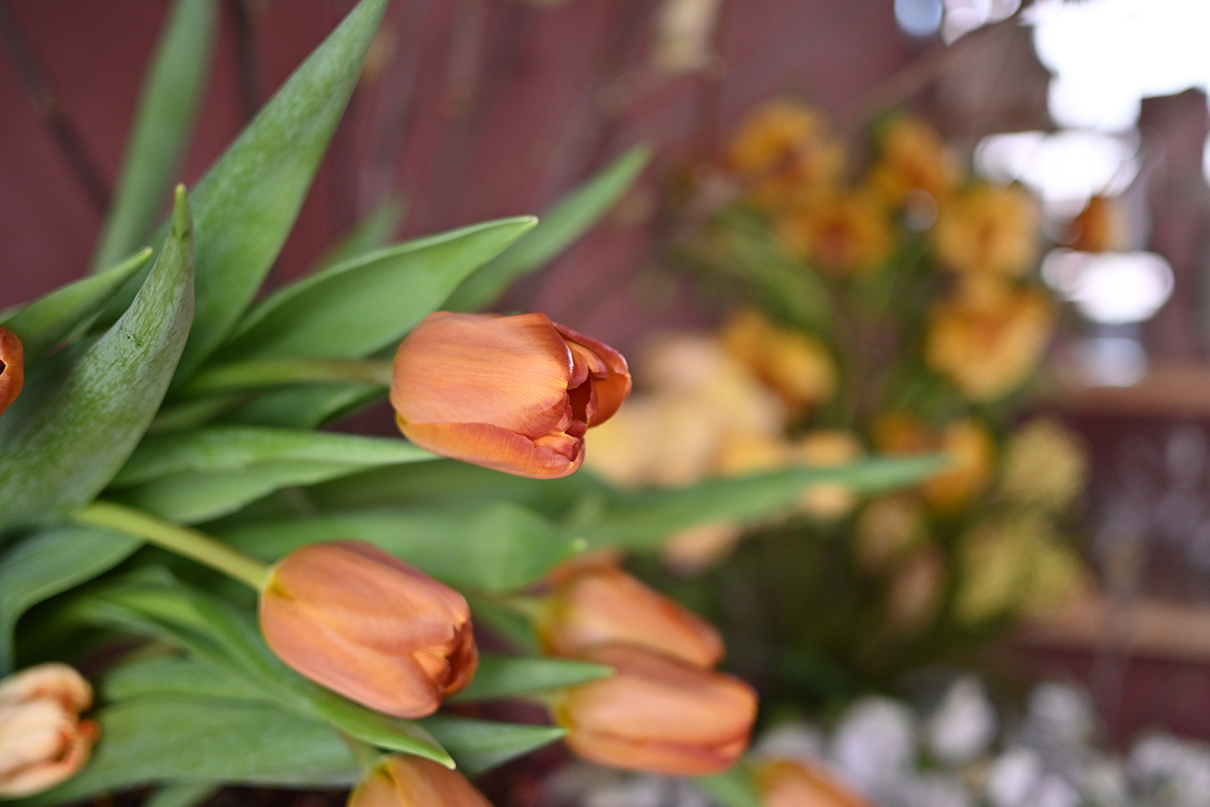 テクニック f/1.7作品