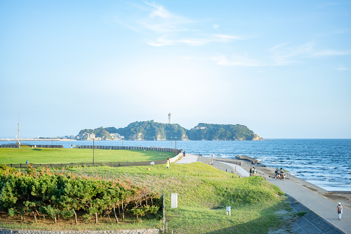 6151×NIKKOR Z DX MC 35mm f/1.7作品