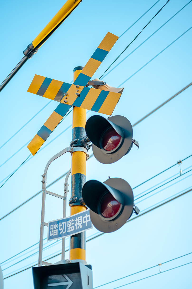 6151×NIKKOR Z DX MC 35mm f/1.7作品