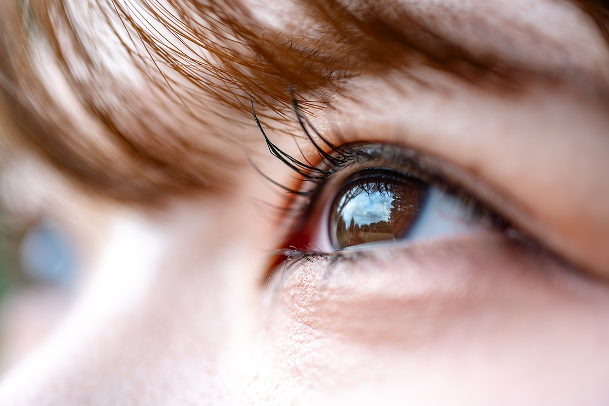 6151×NIKKOR Z DX MC 35mm f/1.7作品