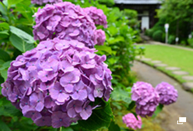 使用レンズ： AF-S NIKKOR 28mm f/1.8G