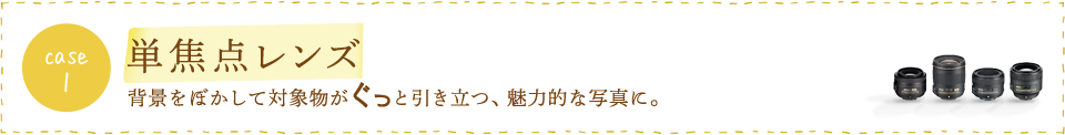case1 単焦点レンズ　背景をぼかして対象物がぐっと引き立つ、魅力的な写真に。