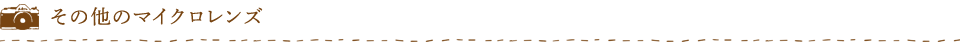 その他のマイクロレンズ