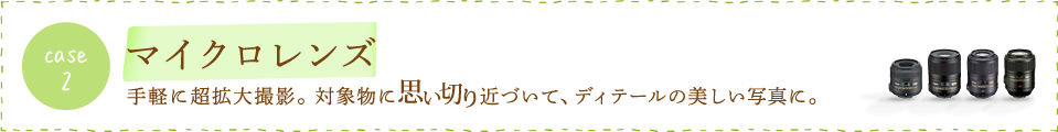 case2 マイクロレンズ　手軽に超拡大撮影。対象物に思い切り近づいて、ディテールの美しい写真に。