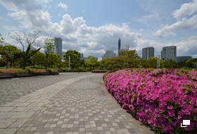 使用レンズ： AF-S DX NIKKOR 10-24mm f/3.5-4.5G ED