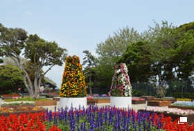 使用レンズ： AF-S DX NIKKOR 10-24mm f/3.5-4.5G ED