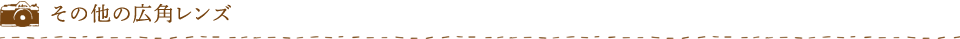 その他の広角レンズ