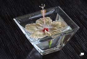 使用レンズ： AF-S DX NIKKOR 55-300mm f/4.5-5.6G ED VR