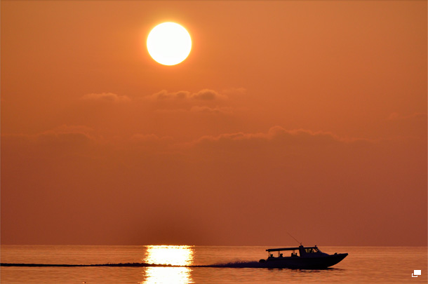 使用レンズ： AF-S DX NIKKOR 55-300mm f/4.5-5.6G ED VR