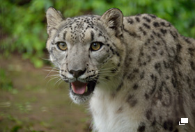 使用レンズ： AF-S DX NIKKOR 18-300mm f/3.5-5.6G ED VR