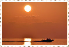 使用レンズ： AF-S DX NIKKOR 55-300mm f/4.5-5.6G ED VR