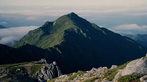 REDらしい色味にする