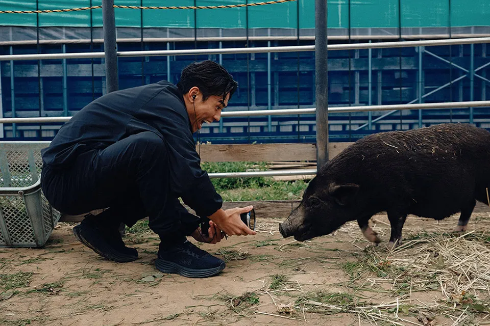 ショットガンマイクを載せて豚の鳴き声を収録