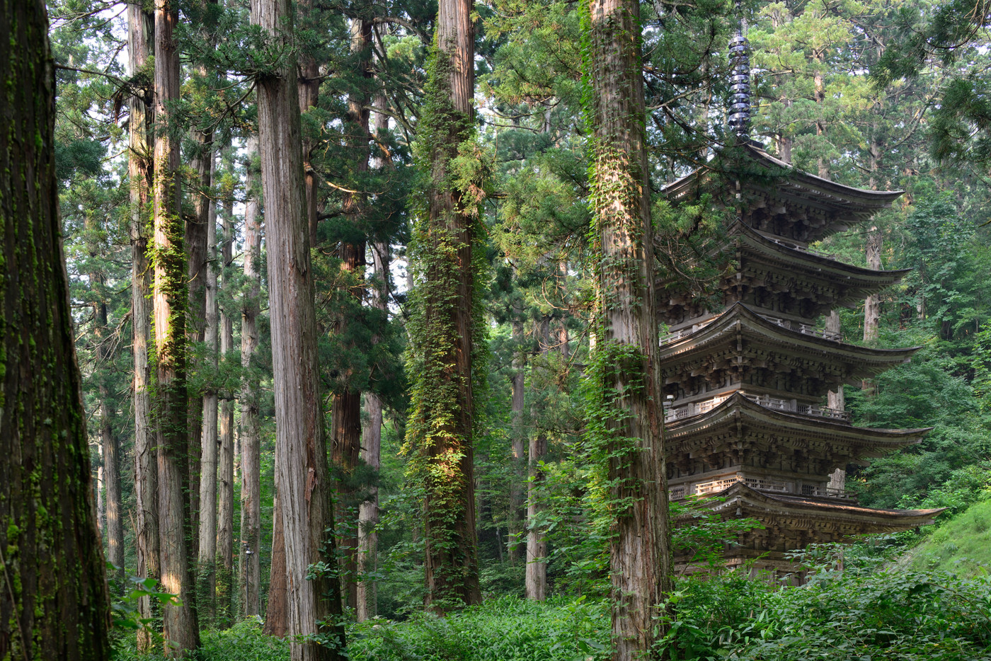 レンズは、PC-E 45mm f/2.8。肉眼に近い穏やかなパースペクティブを持つPCレンズである。