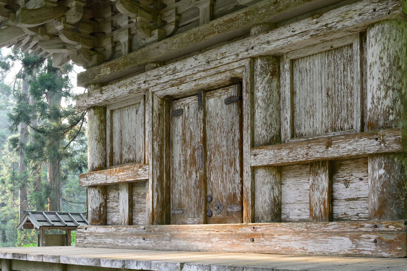 ここ何日も続いた雨がようやくおさまったが、雲の多い空模様。
