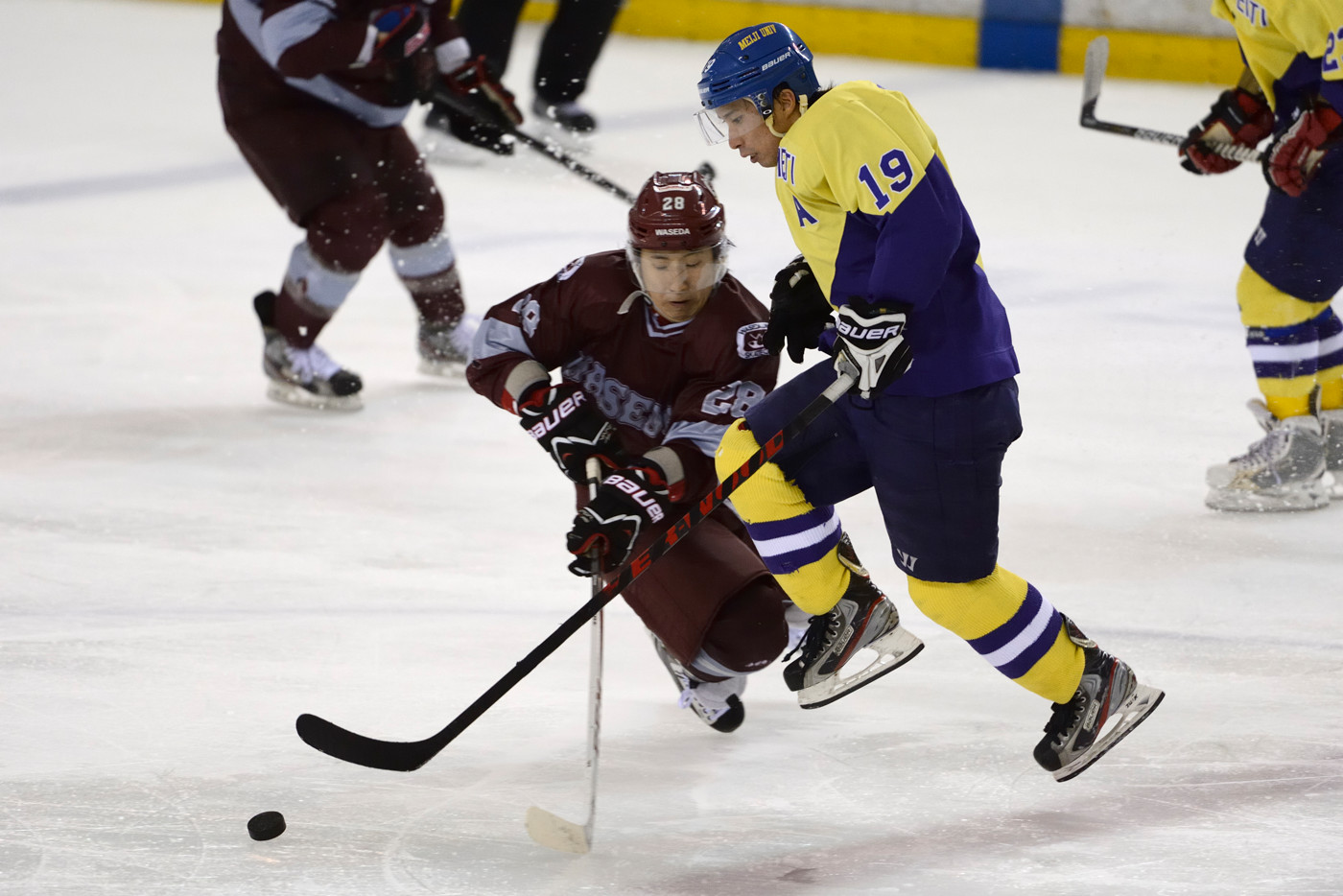 そしてボディーは高感度と連写に優れたD4を選択。