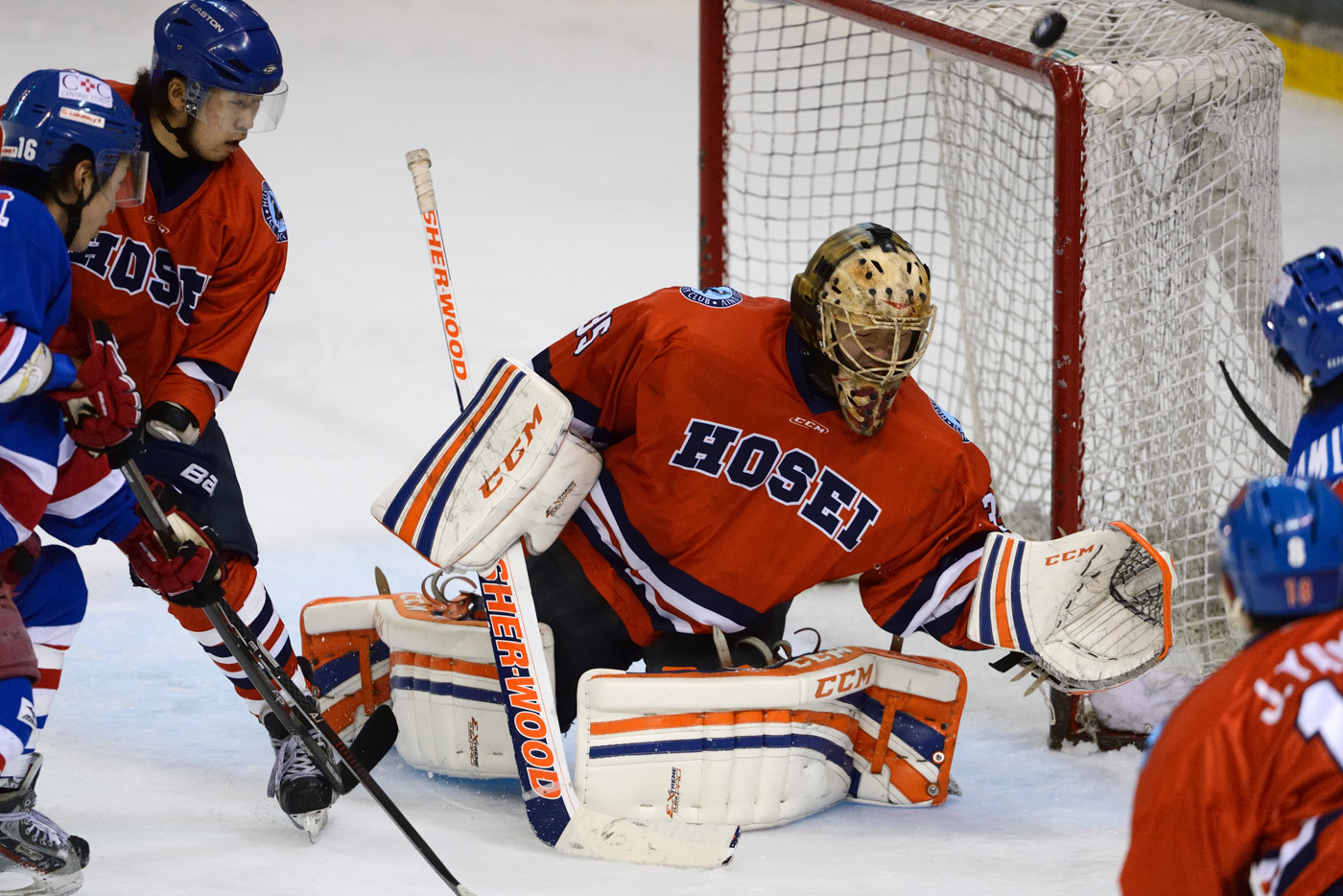 水中撮影は、大幅な減光、色彩の変化、浮遊物の映り込みなど、水上では考えられない厳しい条件が強いられる。