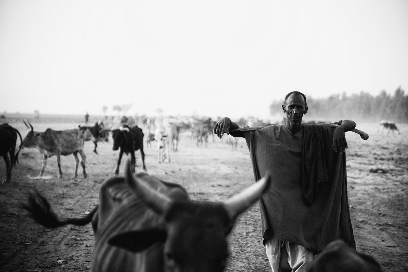 レンズは広角から望遠までをこれ一本でカバーできる24‐120mm。