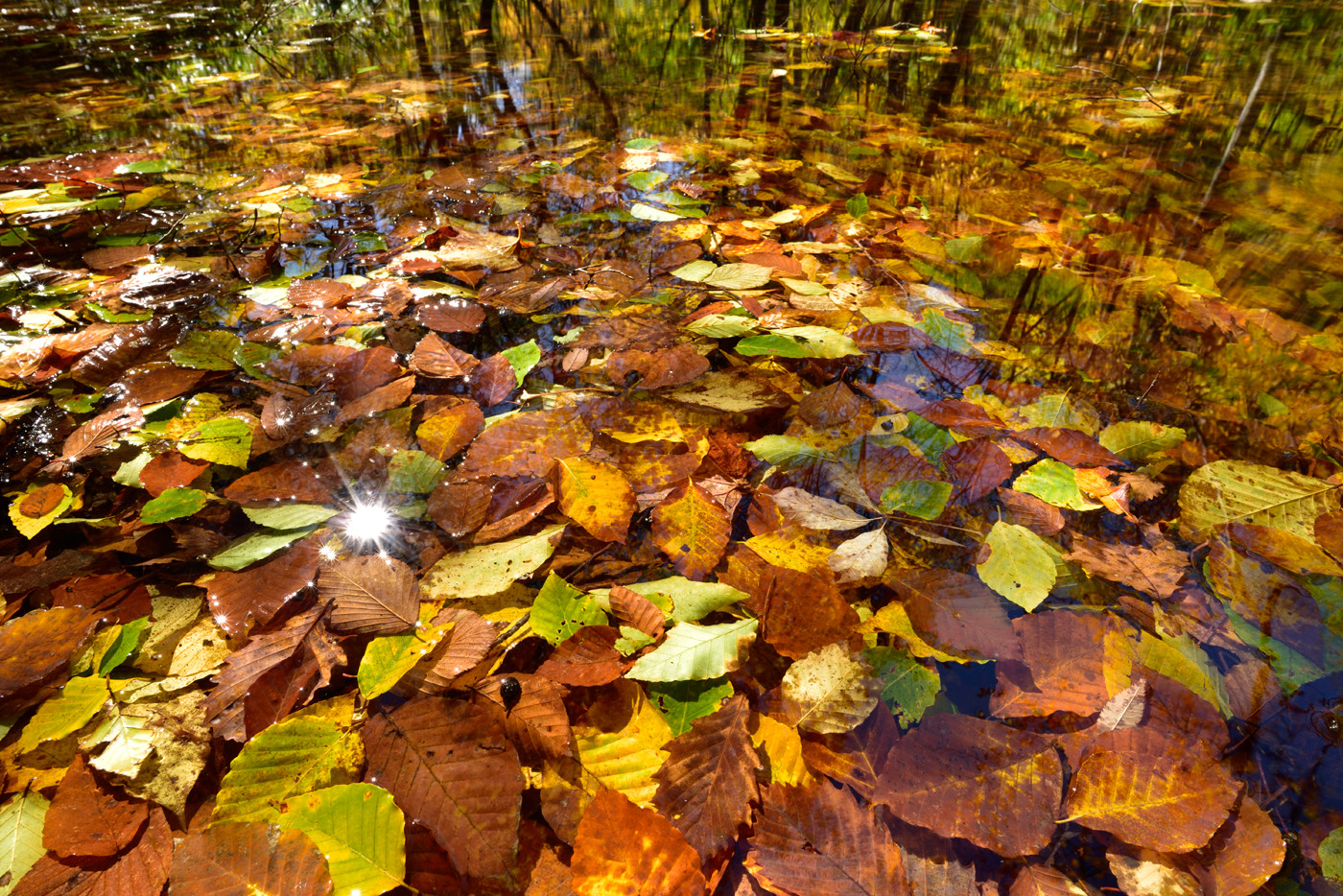 その狙いに20mmという超広角が応える。