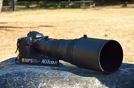 D4S＋AF-S NIKKOR 500mm f/4G ED VR