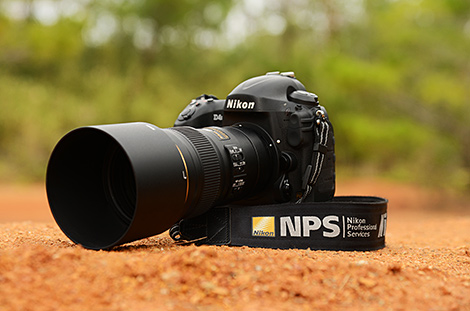 D4S+AF-S NIKKOR 300mm f/4E PF ED VR