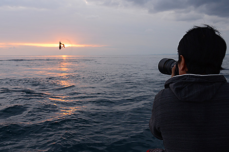 夕暮れのわずかなチャンスを捉える