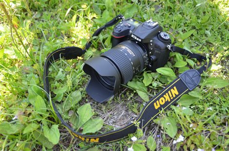 D7200+AF-S DX NIKKOR 18-300mm f/3.5-6.3G ED VR