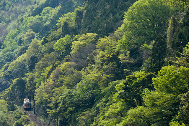 作品2：静岡県の大井川鐡道、神尾-福用間の景観