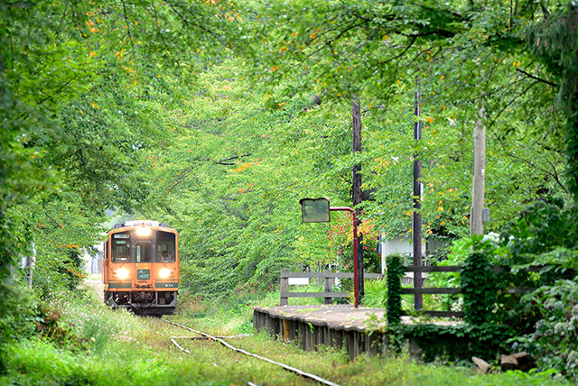 作品2：青森県の津軽鉄道（芦野公園駅）、緑の木々に囲まれた無人駅